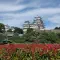 My first trip to Japan