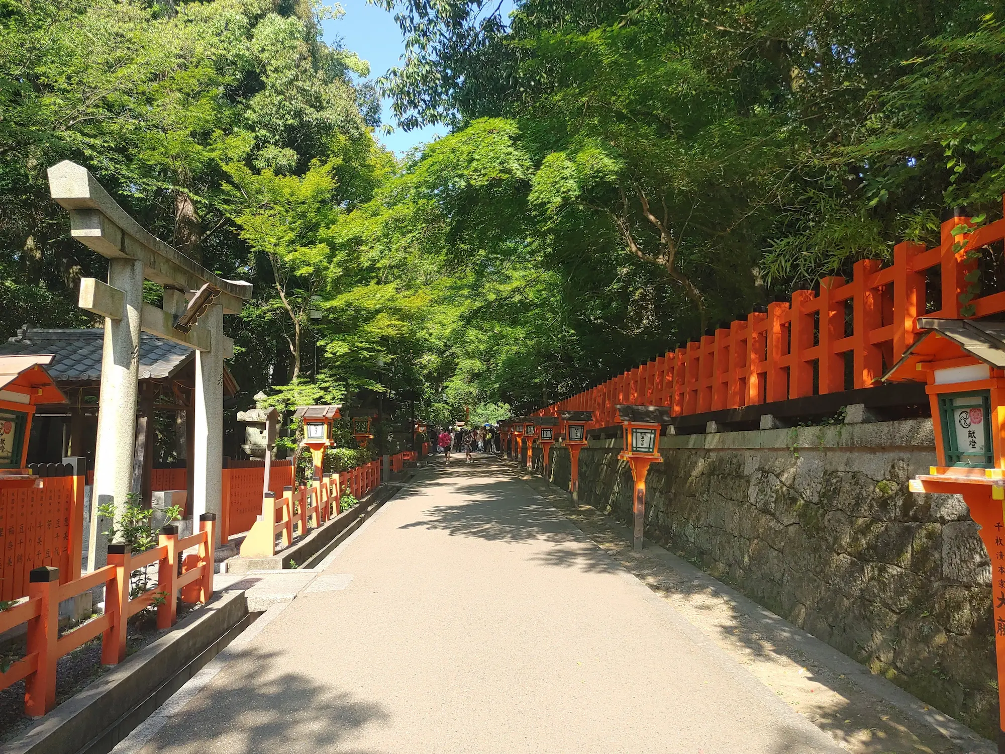 Path in Kyoto with red toriis