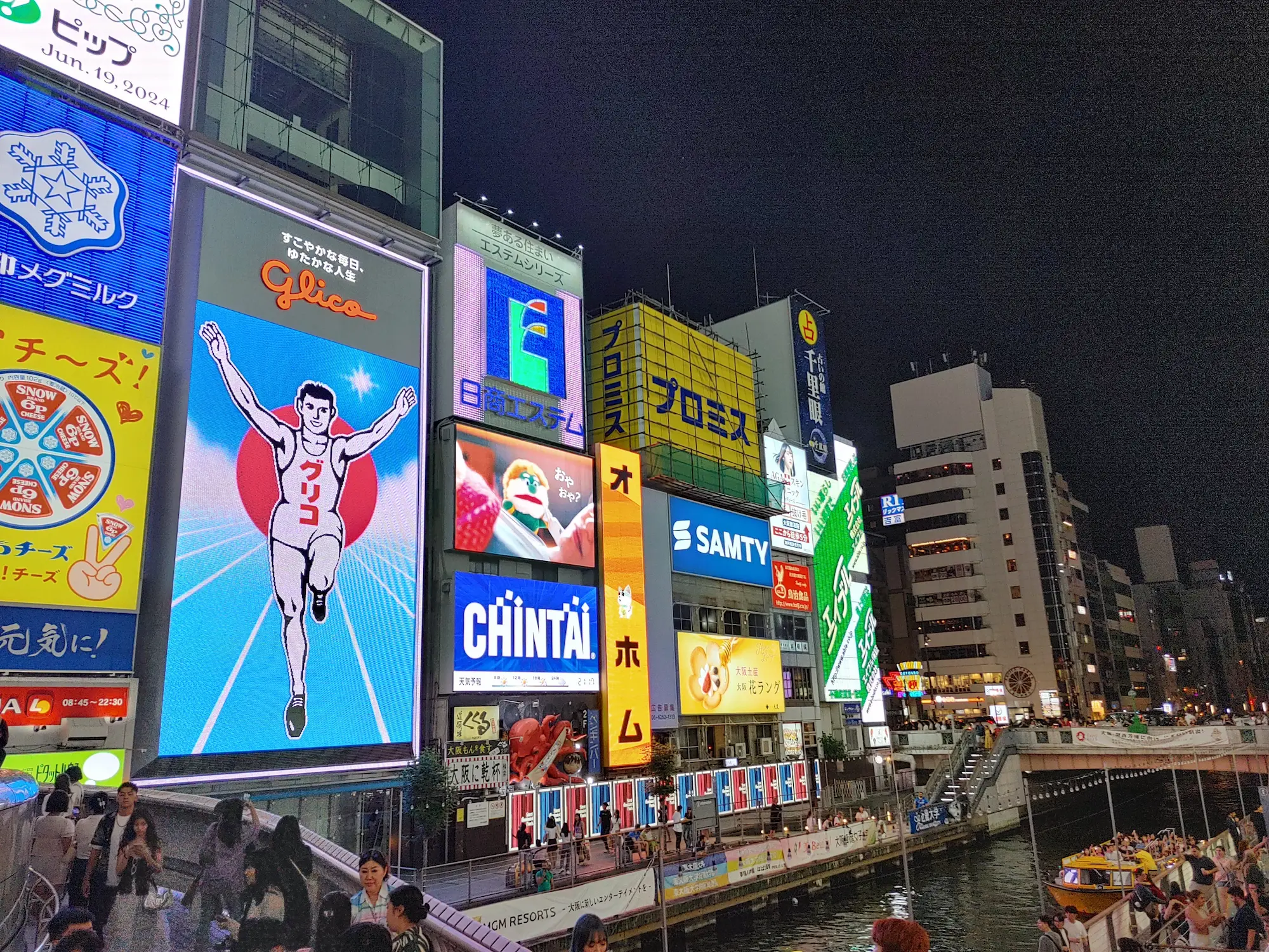 Lights of the signs at night in Osaka